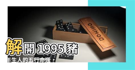 1995豬